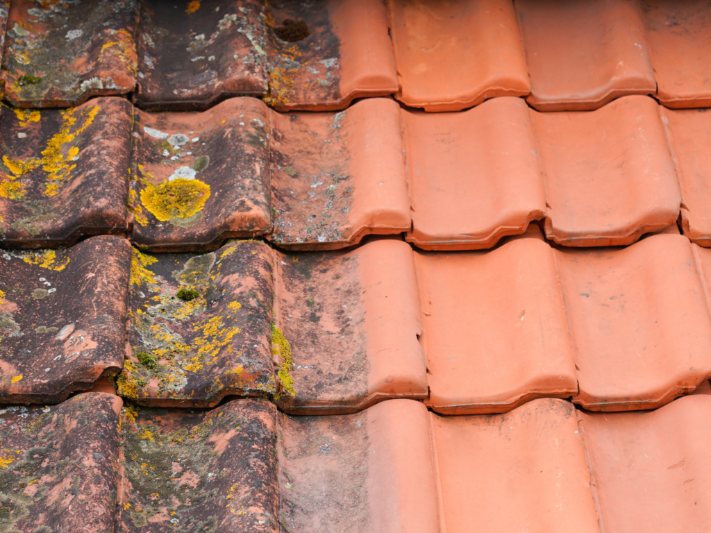 4 roof half b